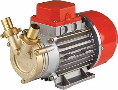Elettropompa per travaso gasolio Marina 20 Rover 12 Volt rossa con capacità 0,5 Lt e prevalenza massima 1700 mm
