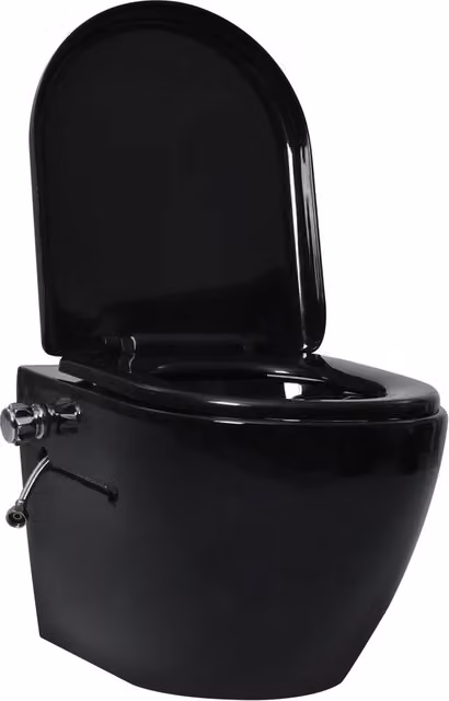 Toilette Senza Bordi Muro con Cassetta Scomparsa Ceramica Nera CFW8820871