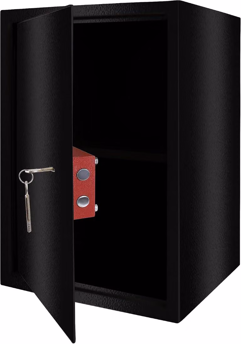 QEENTOE Cassaforte per mobili con doppia serratura a barre, da appendere, porta in acciaio, 2 chiavi, ideale per camper, armadi, uffici, dimensioni XL: 35 x 31 x 50 cm (nera)