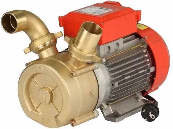 Elettropompa di travaso Rover da 50 mm in ottone e acciaio inossidabile color bronzo