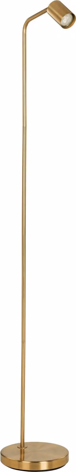 EGLO Lampada da terra Rigomagno, lampada per soggiorno con faretto orientabile, lampada da terra in metallo con finitura in ottone spazzolato, lampada da lettura con attacco GU10, 151 cm