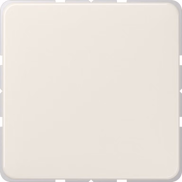 JUNG Blindabdeckung 594-0 ST550 Zentralplatte weiss 594-0 (594-0)