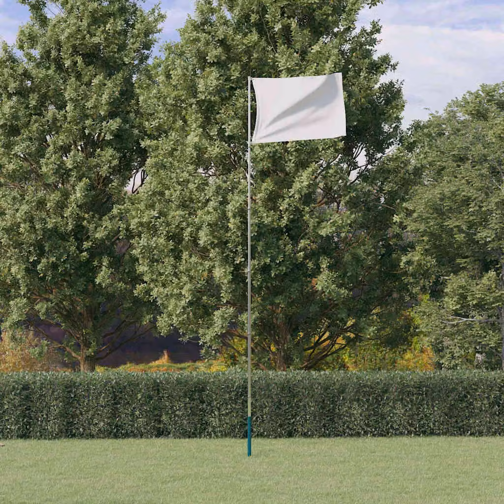 Asta telescopica per bandiere vidaXL in alluminio argento, 6,0 m