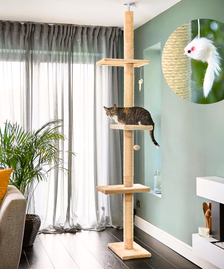 Albero per gatti regolabile, altezza 245-288 cm, con diverse piattaforme, inclusa staffa a parete, per uso interno