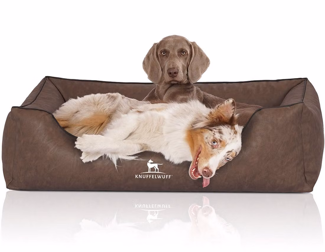 Cuccia per cani Henderson in Pelle finta marmorizzata XXXL marrone