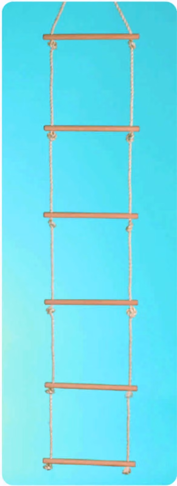 Scala a pioli 200cm 6 pioli in legno 100KG