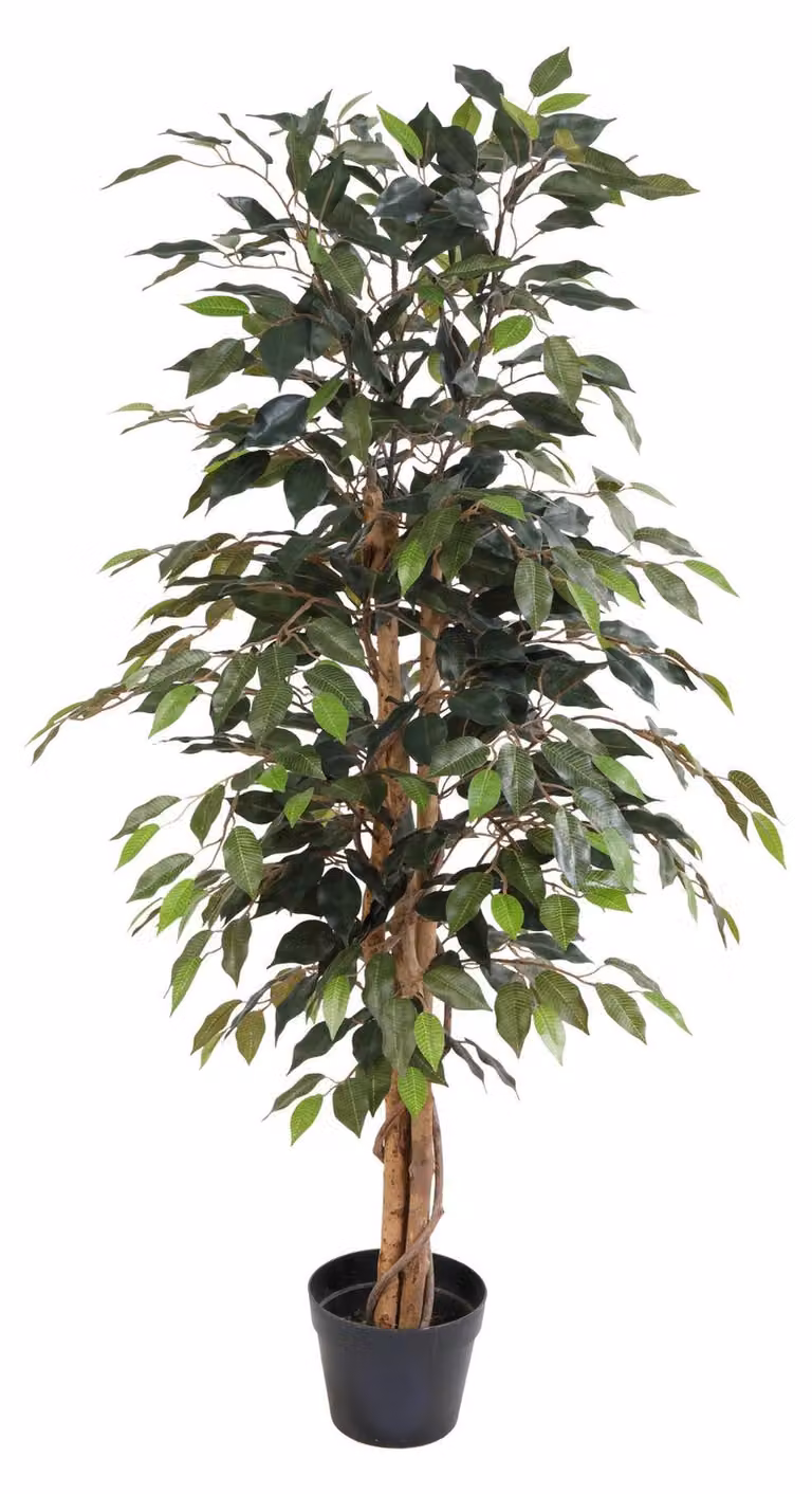 Ficus Benjamina artificiale (albero di fico) da 130cm in vaso - pianta