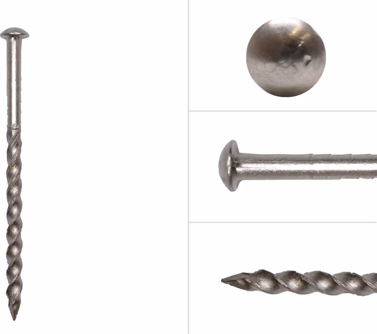 Chiodi a vite in acciaio inox a testa tonda 3,2 x 55 mm - 500 g