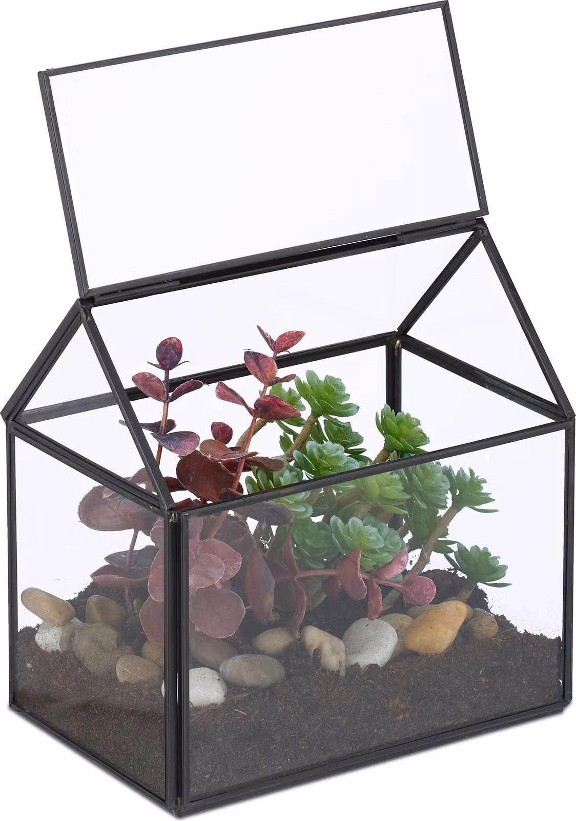 Terrario per piante Relaxdays, vetro e rame, 15x15x10 cm, serra decorativa con cactus e muschio, contenitore in vetro da davanzale, nero