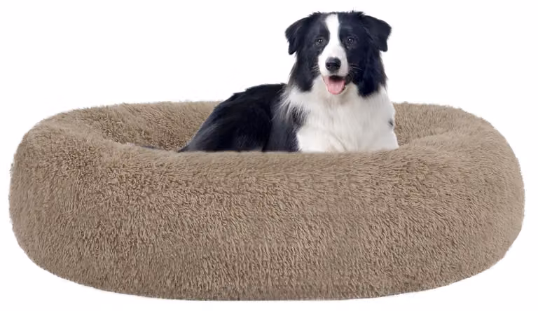 Solidchoice - Cuccia ortopedica a forma di ciambella per cani, per un comfort extra
