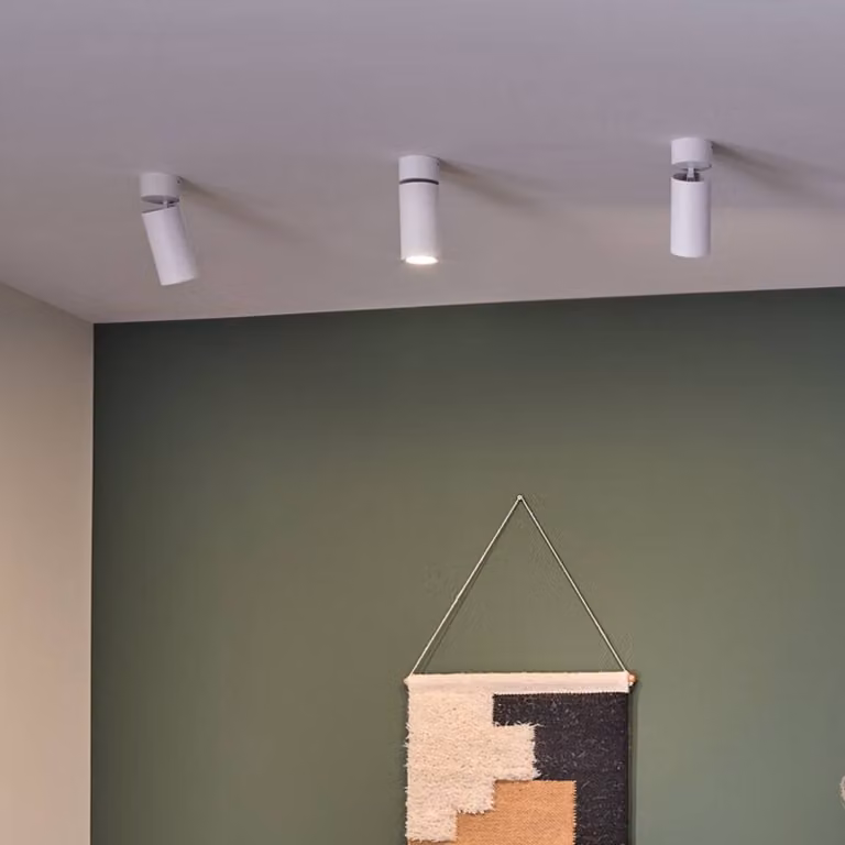 Paulmann Plafoniera LED Turnal Coin, bianca, in metallo, 2.700 K dimmerabile, Bianco / Opale, Soggiorno / Sala da pranzo, Metallo, Moderno, Downlight