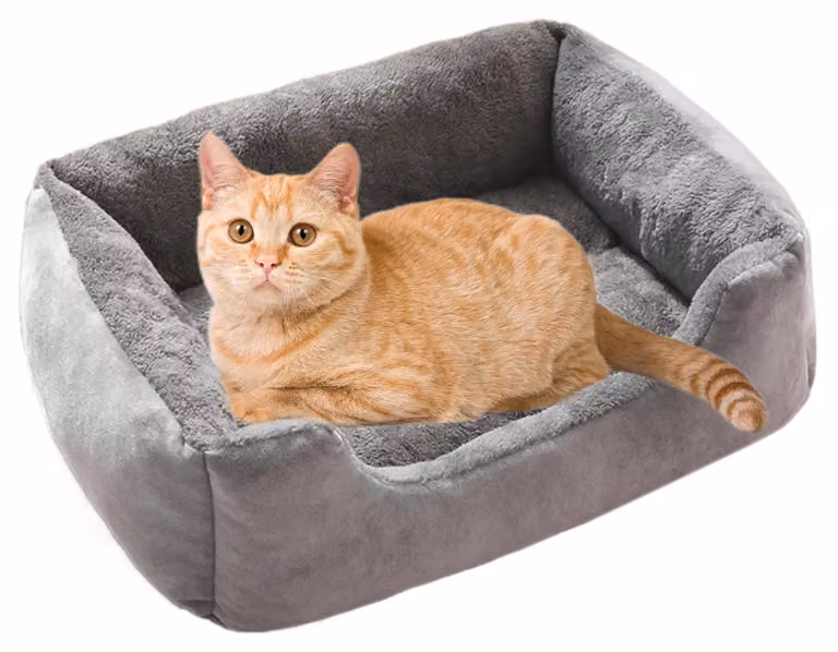 Cuccia per cani rilassante con base antiscivolo