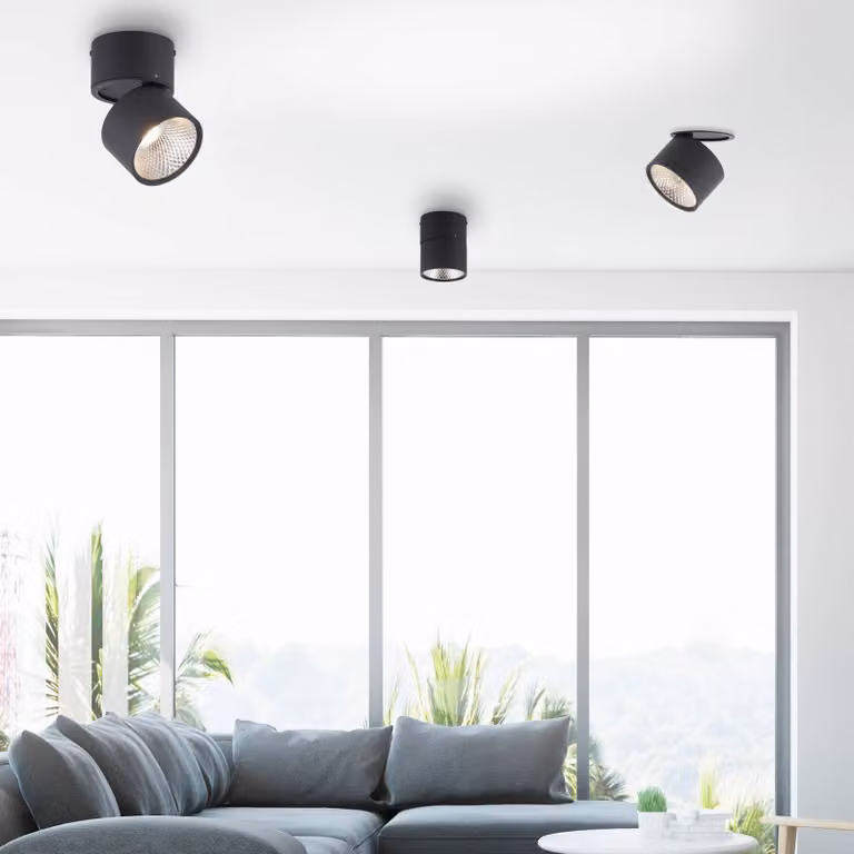 PURE Plafoniera LED Nola, 1 luce, nera dimmerabile, Nero, Soggiorno / Sala da pranzo, Moderno