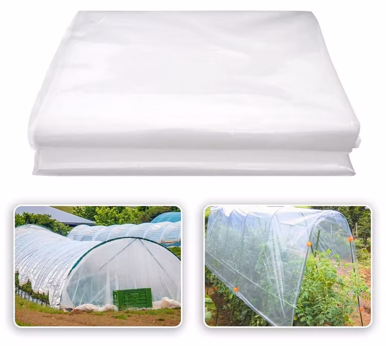 Pellicola trasparente per serre, dimensioni 2 x 3 metri, ideale per giardinaggio e agricoltura