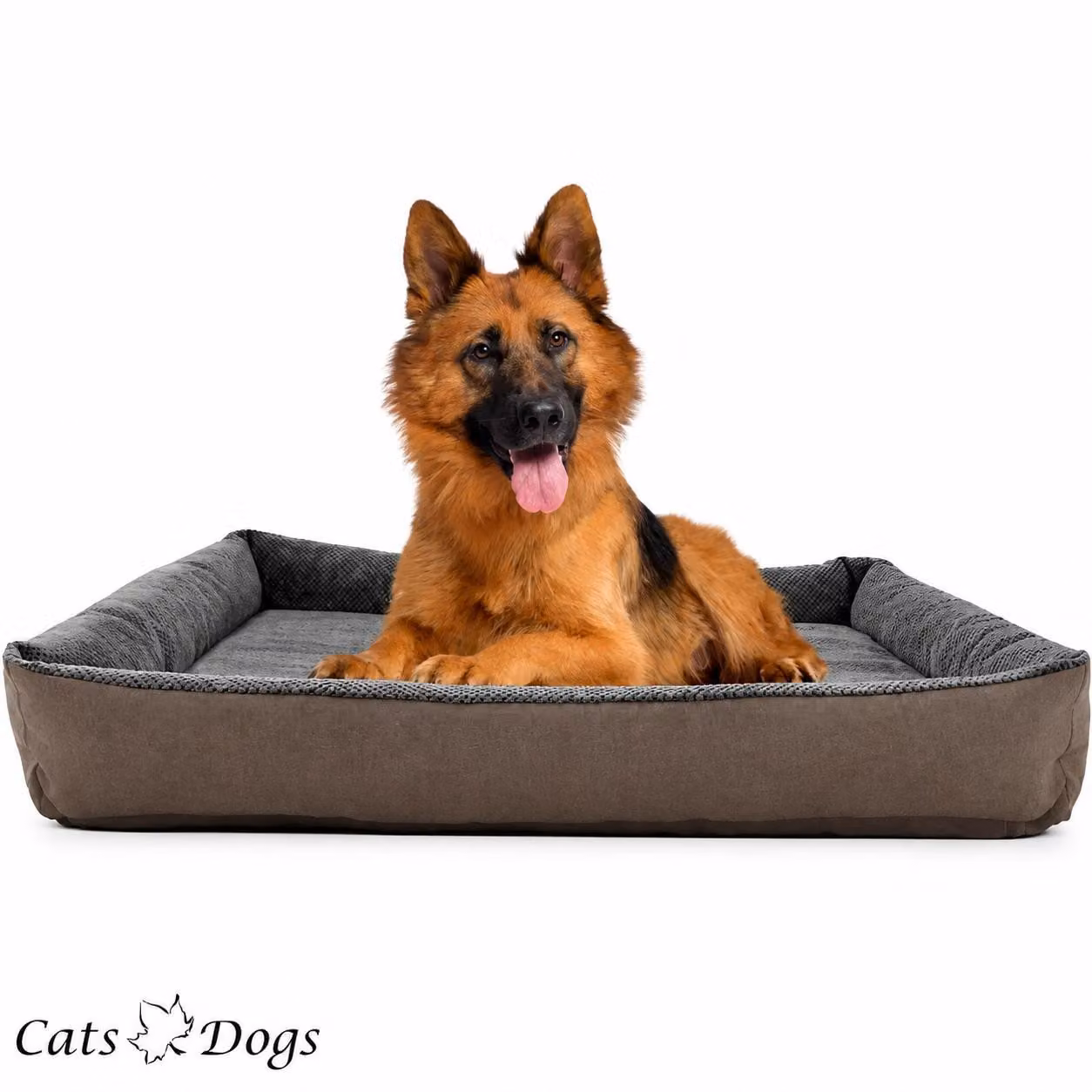 Cuccia per cani, divanetto per cani M, lavabile con cerniera, 80 x 60 x 17 cm, Platan Sofa, divanetto per cani grigio-beige, per cani fino a 12 kg
