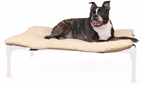 Cuccia comfort per cani, taglia media, rialzata, morbida e soffice, vestibilità sicura, lavabile in lavatrice, trasportabile, taglia M