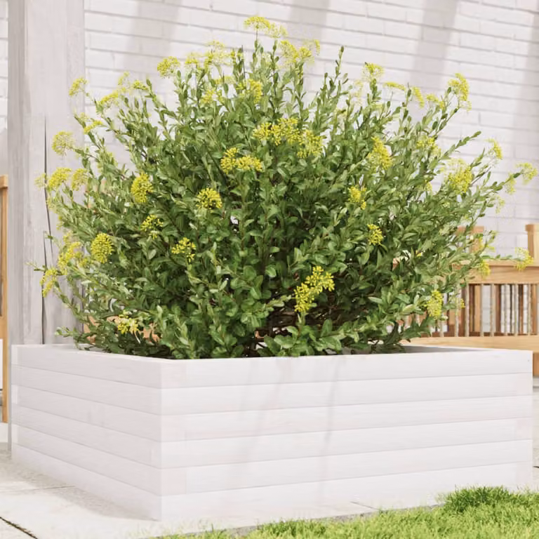 vidaXL Fioriera da Giardino Bianca in Legno di Pino L: 70 cm, P: 70 cm, H: 23 cm