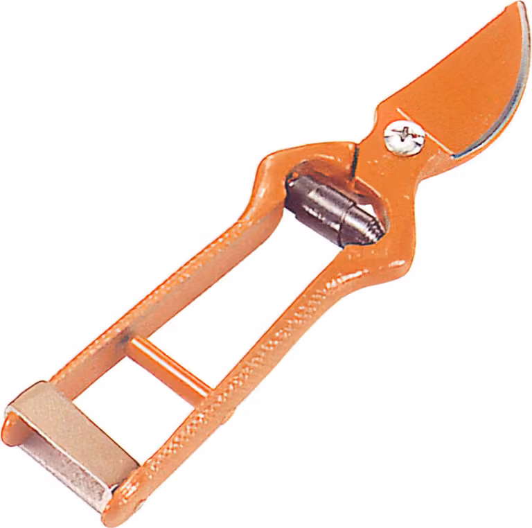 Forbici Wolfpack curve e forgiate per la vendemmia 18 cm.