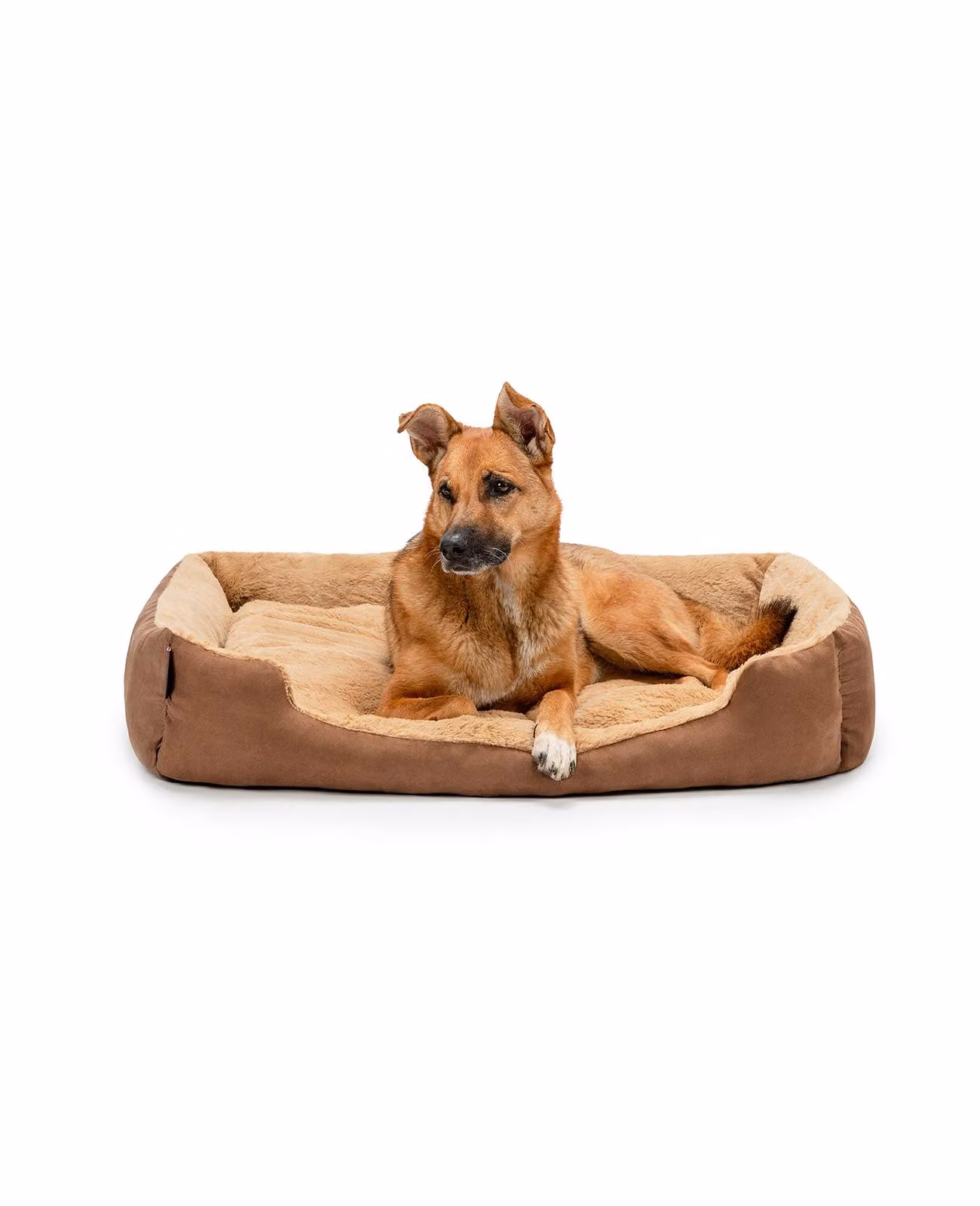 lettino per cani lionto, morbido lettino con cuscino reversibile rimovibile e base antiscivolo, 90x70 cm, marrone/beige