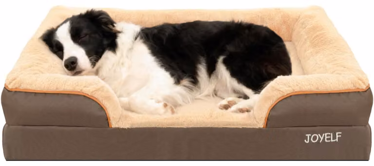 Omgoods - Cuccia ortopedica per cani di grossa taglia, dal design simile a un divano