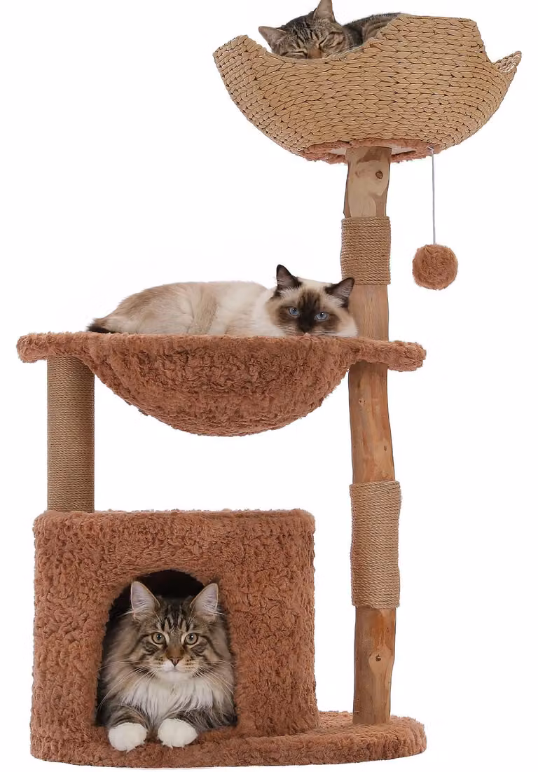 Albero per gatti moderno in legno: tiragraffi alto 102 cm, con 3 livelli, un grande cesto e una spaziosa cuccia, e un'ampia amaca. Ideale per gatti domestici