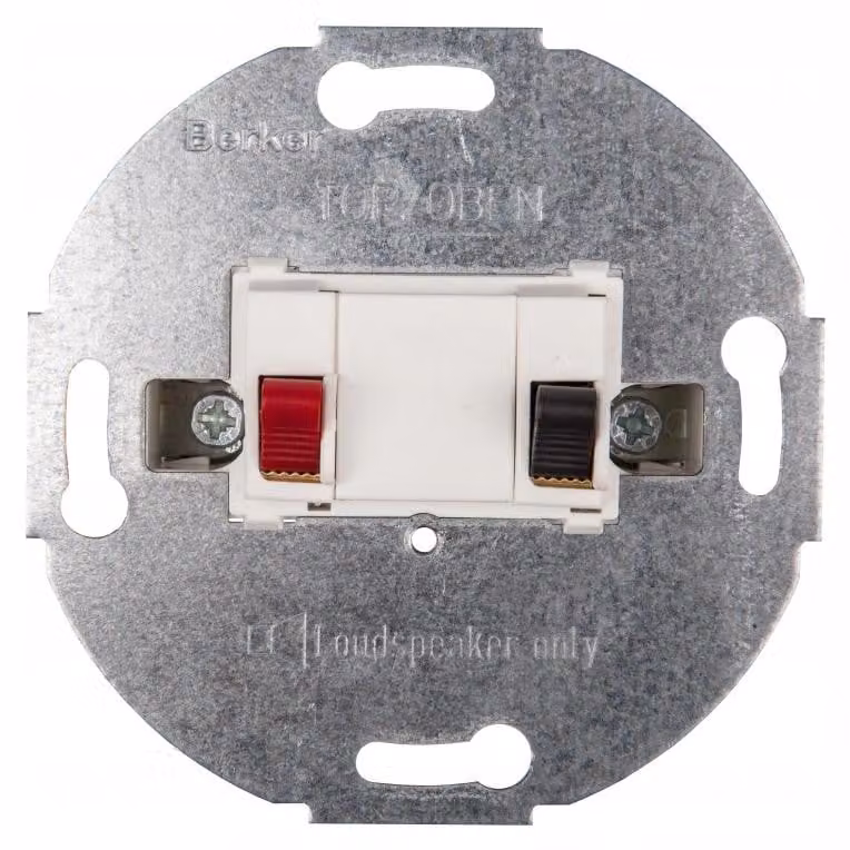 Cassa acustica Berker pws 457209