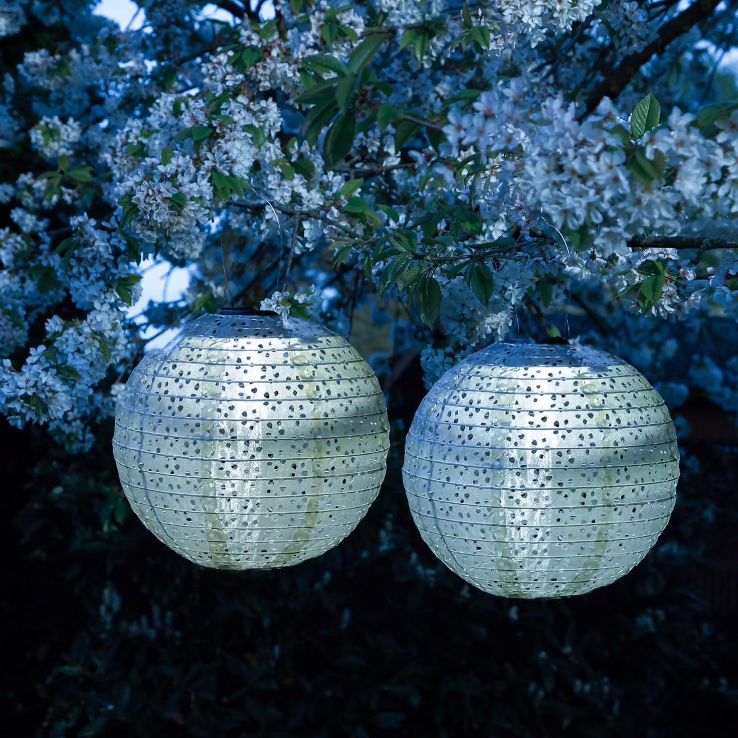 Lanterne solari a LED con motivo floreale, luce bianca calda, diametro 25 cm, sensore di luce, colore blu, confezione da 2 pezzi