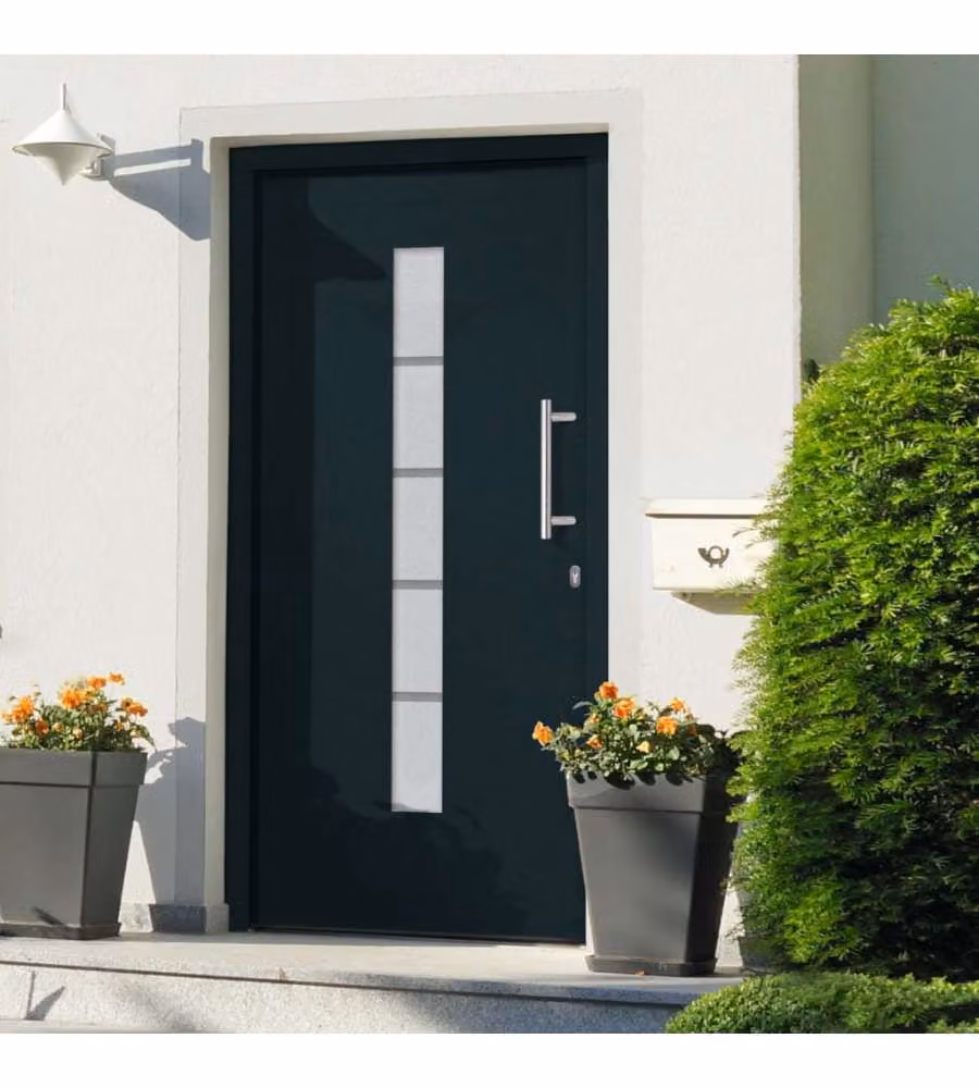 Porta d'Ingresso Moderna in Alluminio e PVC Antracite vidaXL L: 110 cm, H: 210 cm – 1