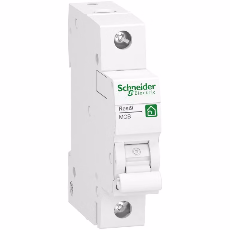 Interruttore magnetotermico Schneider Electric R9F24140