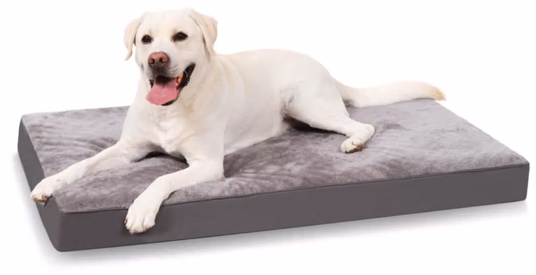 Omgoods - Letto ortopedico grande per cani con coperta impermeabile