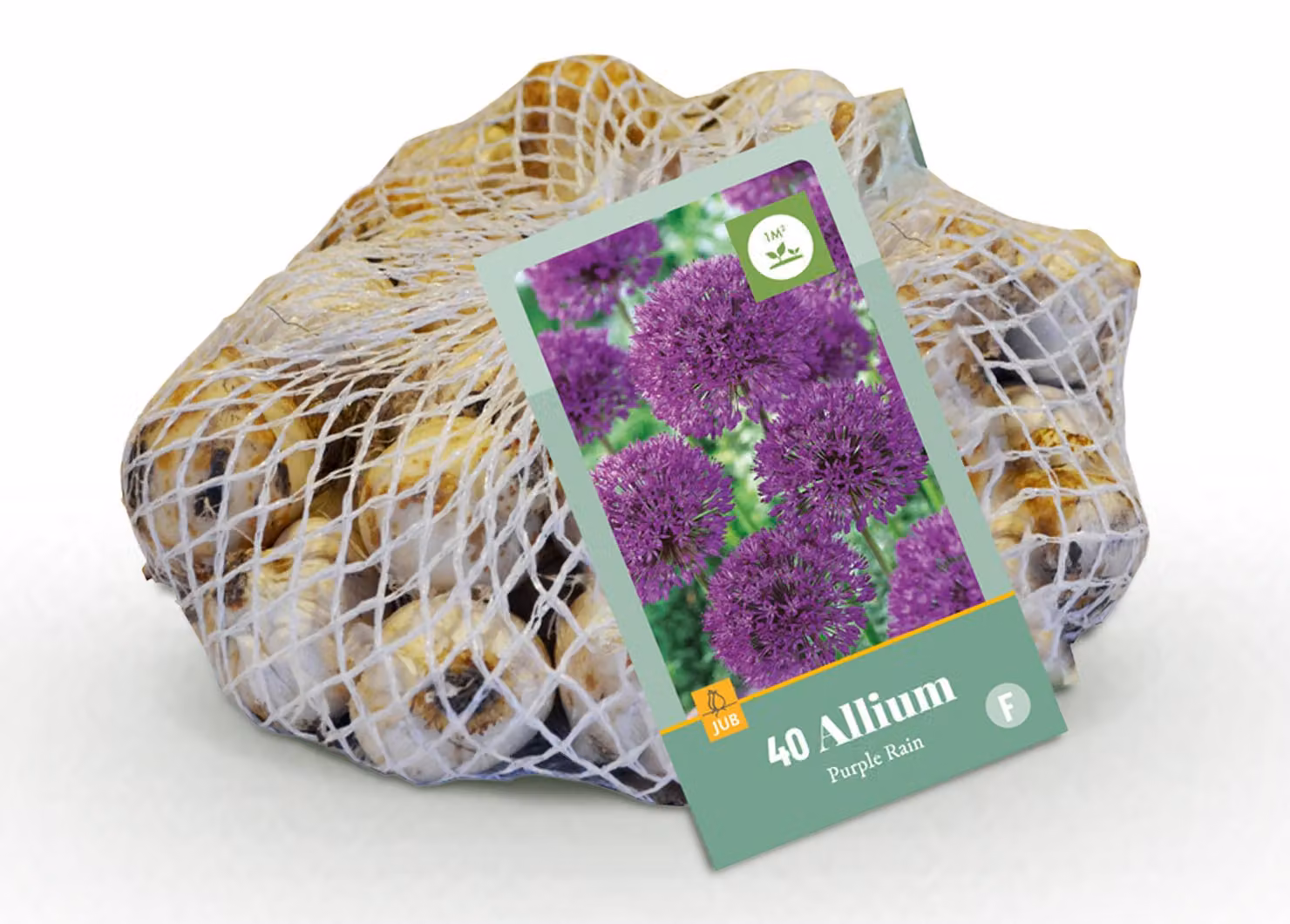 Bulbi da fiore - Allium 'Purple Rain' - Viola - 40 piante - Bulbo misura 10/12 - 50-150cm - Ø10cm - Pianta da giardino - Multideal