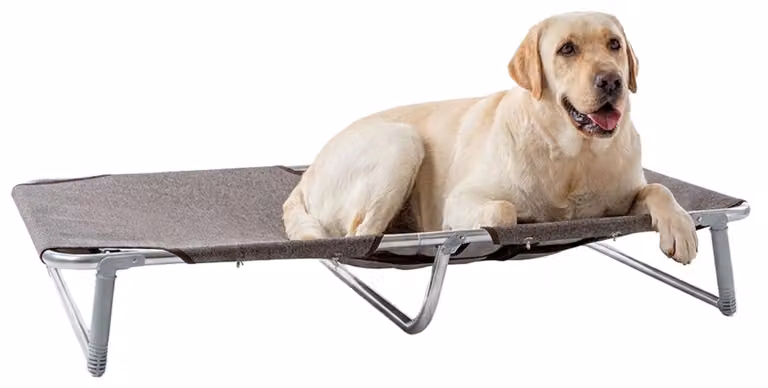 Cuccia pieghevole per cani Ferplast Dream 115, realizzata con una struttura in alluminio massiccio e con