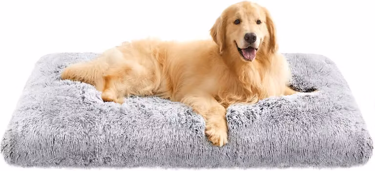 Cuccia per cani in peluche, dimensioni 122 x 74 x 10 cm, lavabile, con base antiscivolo, colore grigio
