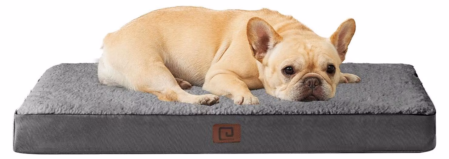 Solidchoice - Cuccia ortopedica per cani con rivestimento removibile