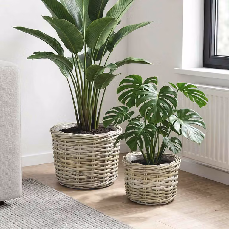 Set di 2 cestini per piante vidaXL GENDT in rattan Kubu, colore grigio e beige, forma rotonda, da tavolo