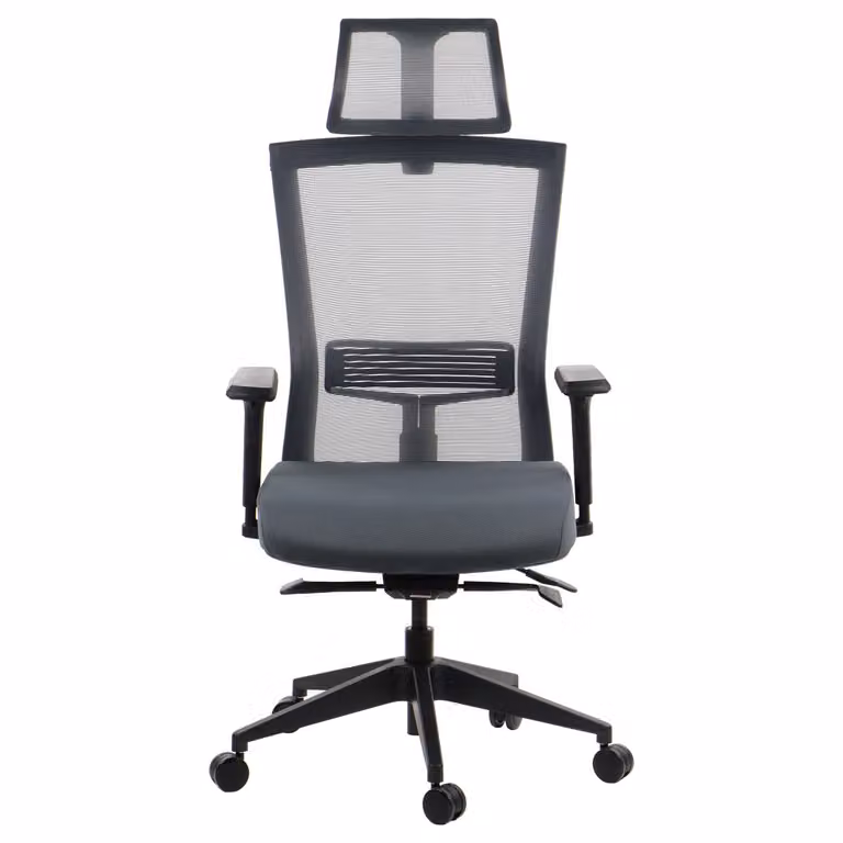 Sedia da ufficio ergonomica girevole HOPE, braccioli regolabili, poggiatesta, seduta scorrevole (avanti-indietro), grigio