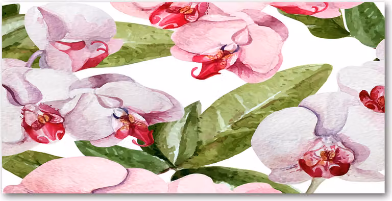 Pannello protettivo per cucina Tulup® in vetro temperato - 100x50 - Protezione anti-schizzi con decoro di fiori, piante, rosa e orchidee