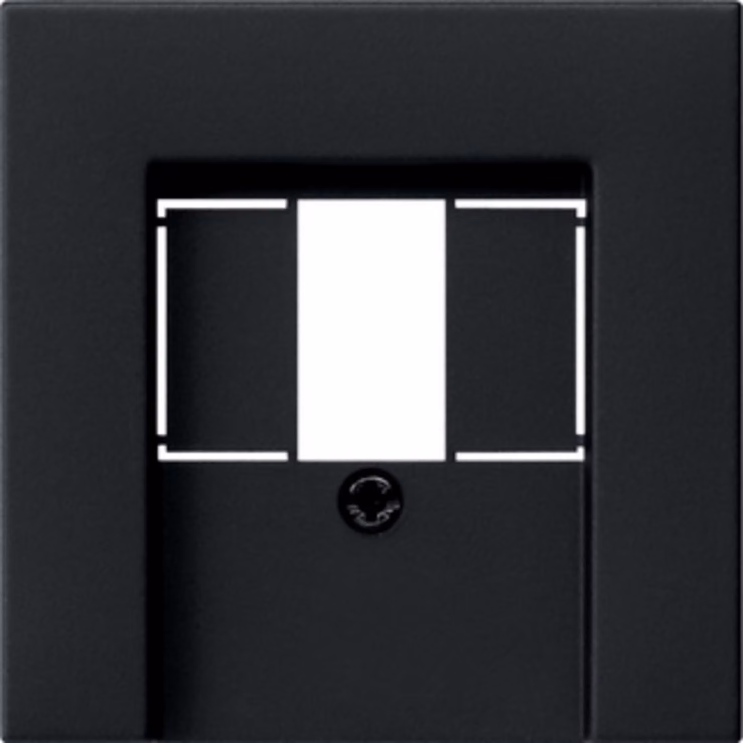 Gira 0276005 Coperchio TAE + USB per scatola di connessione E2 nero/opaco