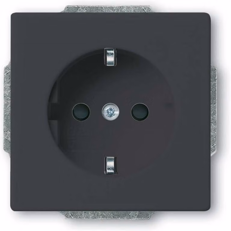Busch-Jaeger Inserto per presa SCHUKO 20 EUCBLI-81 2CKA002013A5459