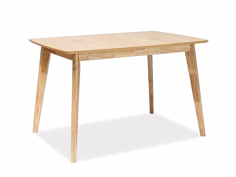 Tavolo da pranzo pieghevole PAVOL - 120x80 cm, rovere