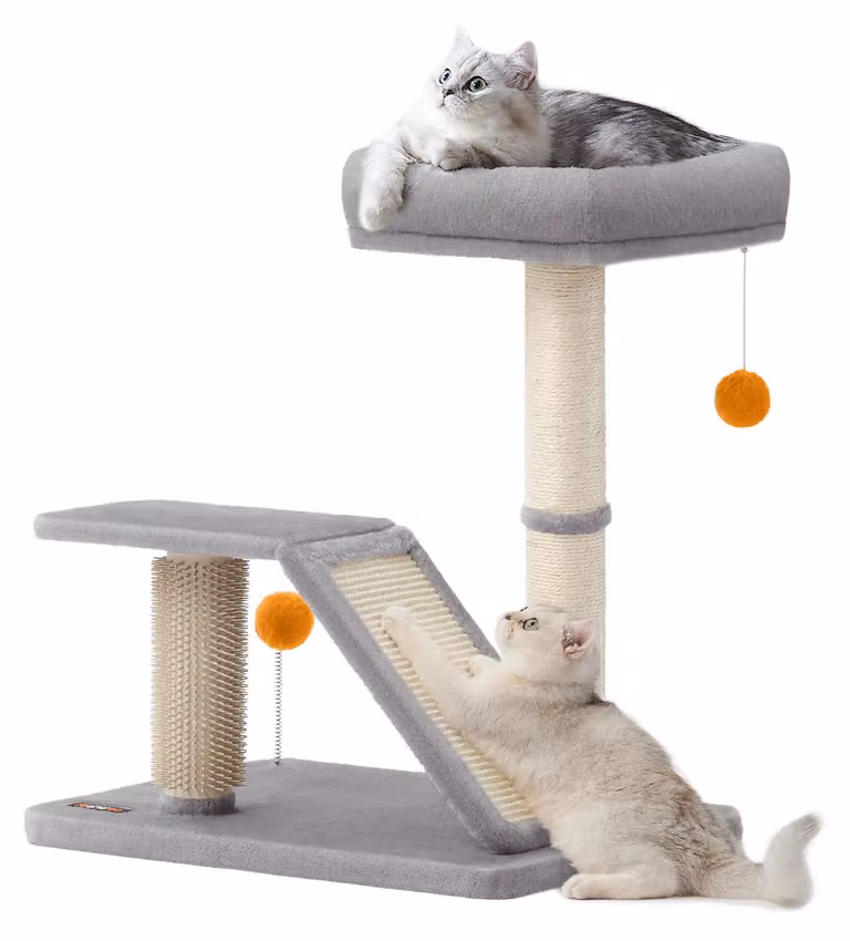 Albero per gatti PCA024G01 - Albero multifunzionale con comoda piattaforma di riposo e accesso girevole