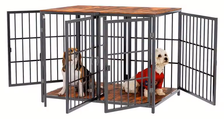 Cuccia per cani, stile arredamento, robusta gabbia in ferro con quattro porte e serratura