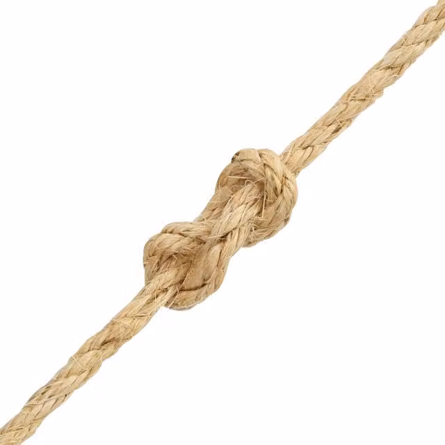 Corda in sisal naturale vidaXL beige, diametro 8 mm, lunghezza 250 m