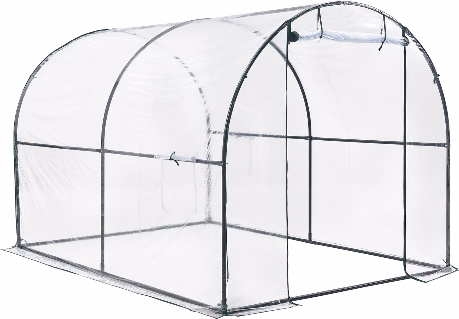 Serra tunnel Grünwald 200x300x190cm Serra per coltivazione ortaggi PVC Trasparente