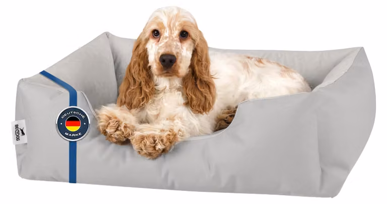 BedDog letto per cani ZARA cuscino per cani con rivestimento lavabile cesto per cani divano per cani, LIGHT-GREY (grigio chiaro), (S) circa 55x40x17cm