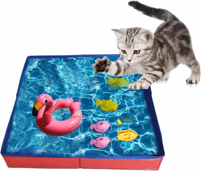 Piscina pieghevole in PVC per cani, vasca da gioco antiscivolo per cuccioli, adatta per interni, giardini e spazi esterni