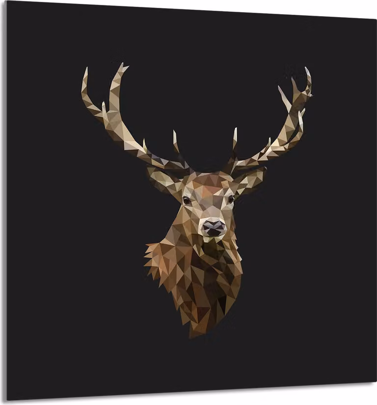 PIATTO IN VETRO PER CUCINA 60x65 Stag