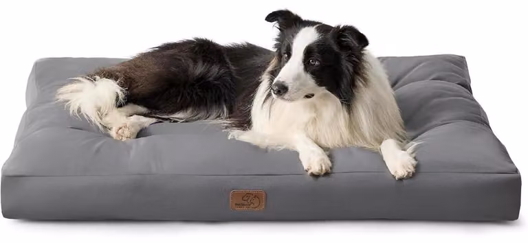 Cuccia per cani, colore grigio scuro, dimensioni 91x68x10 cm, imbottita, con tappetino refrigerante, adatta per uso esterno