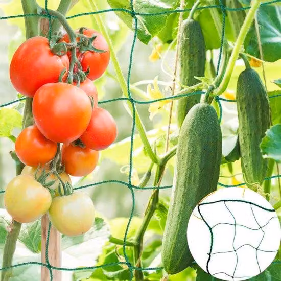 rete per piante rampicanti - 180x360 cm - Rete per piante rampicanti - maglia 10x10 cm - Rete guida per la crescita delle piante rampicanti - Rete per piante da giardino - Griglia di supporto per piante - Rete per piante - piante rampicanti - Rete per pia