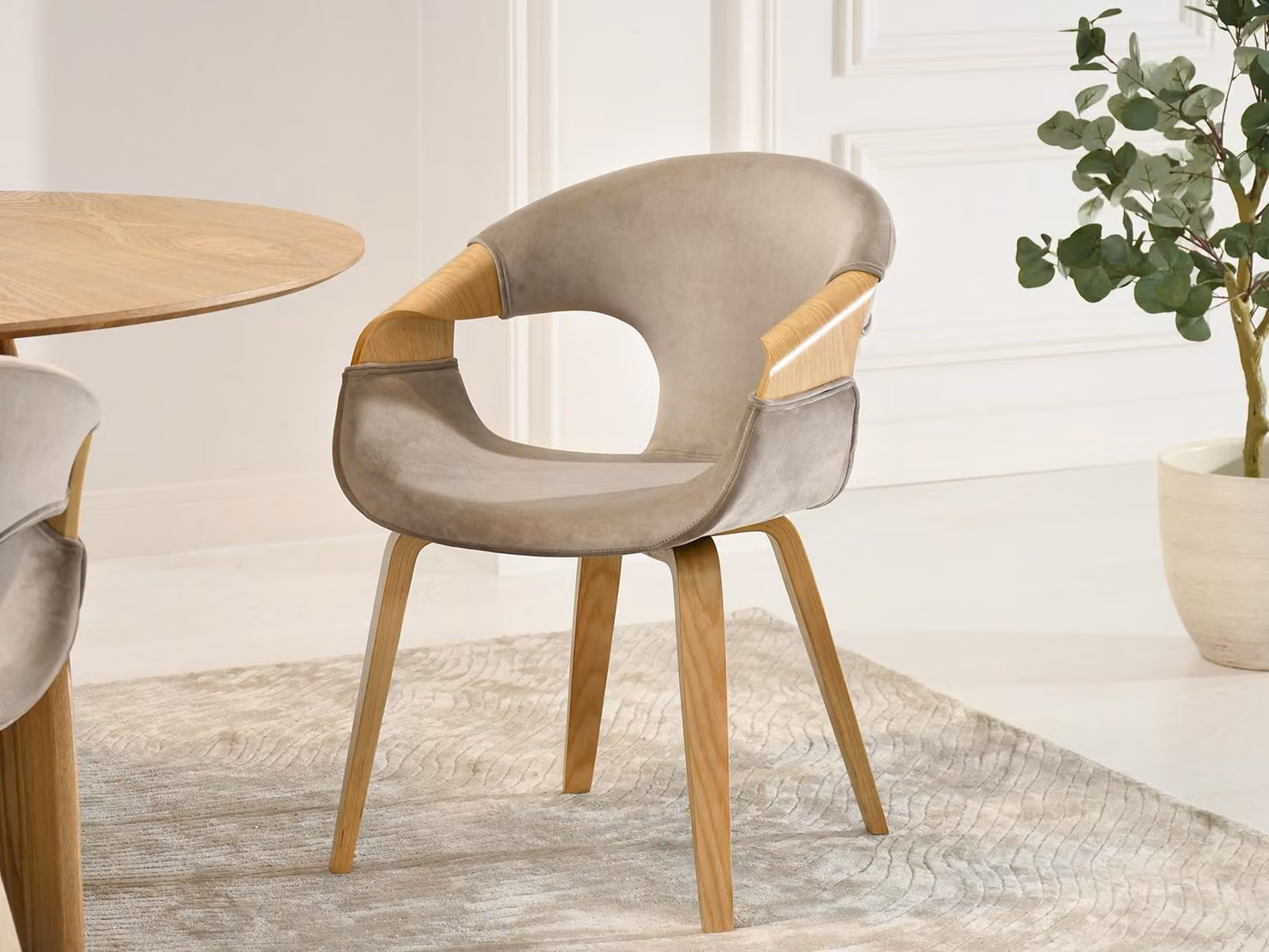 Sedia da pranzo DARLENIS - beige / rovere